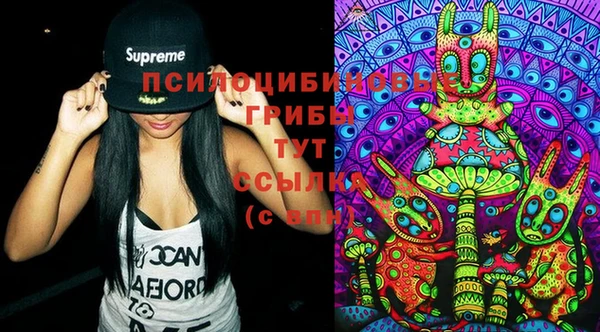 гашик Мегион